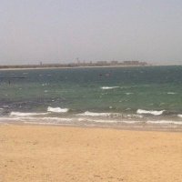 Ali M (@alim27286943) 's Twitter Profile