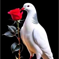 استغفر الله (@jq7rtymjmz9sd0x) 's Twitter Profile