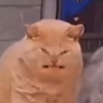 ArreilaA's profile picture. Artist
I like MHA, WHA, Choujin X, and TGCF
20
She/her 
Instagram: @arreila_; YouTube: Arreila A