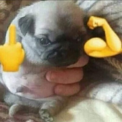 ghostie_pls's profile picture. I’m back bitch