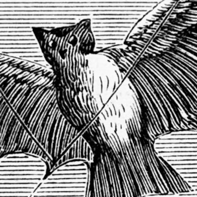 Trans-led digital lit mag. Publisher of word-based vomit. Subs OPEN OCT 1ST. Posts by EiC
