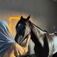 هـاجـر (@ah45090_) Twitter profile photo