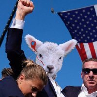 Comrade Lamb (@comradelamb) 's Twitter Profile Photo Comrade Lamb (@comradelamb) 's Twitter Profile Photo