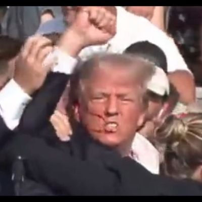 Phillycarp's profile picture. Union Carpenter for Trump 🇺🇲.