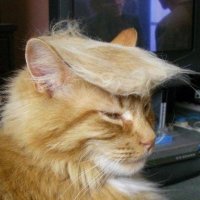 Scott G (@buggathe) 's Twitter Profile