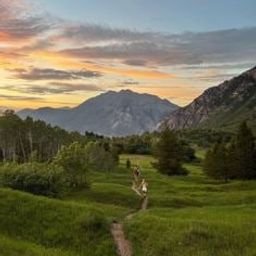 Rirfriol9g7v7's profile picture. 