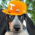 Vol Enthusiast (@vol_enthusiast2) Twitter profile photo Vol Enthusiast (@vol_enthusiast2) Twitter profile photo