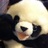 bluryunz's profile image