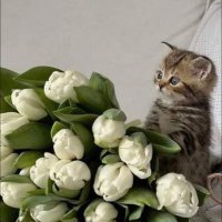 شادن 🪴 (@sh_dn22) Twitter profile photo