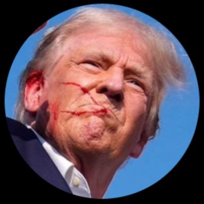 BowtiedBunker's profile picture. 