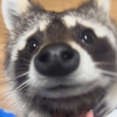 sillyBilly014's profile picture. I am 24, I like to make stuff, im hardly online