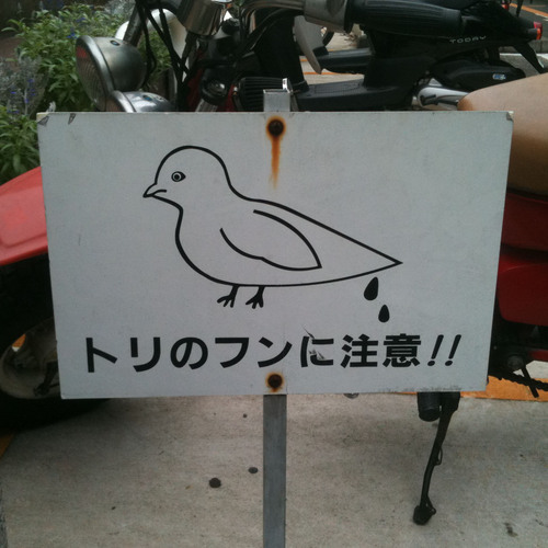 歌を忘れた元合唱団員。ボウリングを忘れたへっぽこボウラー。塗り足しを忘れたDTPオペ。パスワードを忘れたネットワーク管理者。
@ototori@mastodon.cloud