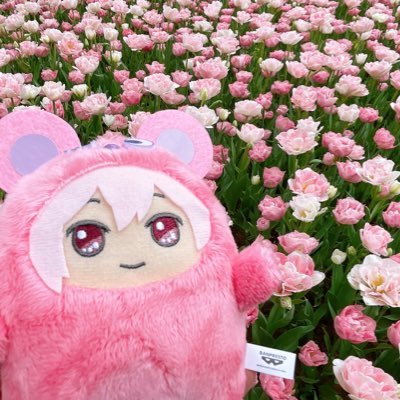 ハルピーさんのプロフィール画像