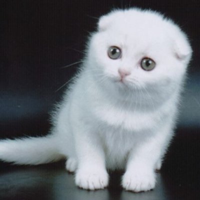 Gabri80562's profile picture. 