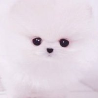 ꒷꒦ (@qlwnx_) Twitter profile photo