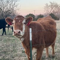 John (@echospappy) 's Twitter Profile