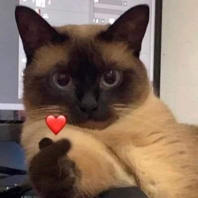 haojiezhao2's profile picture. 