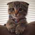 N،KFU🐾🐈⬛ (@n2017n7) Twitter profile photo N،KFU🐾🐈⬛ (@n2017n7) Twitter profile photo