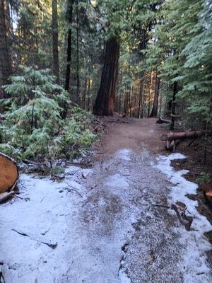 bookloverrunner's profile picture. 