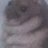 elsewhere! bye bye! (@dongobongos) Twitter profile photo elsewhere! bye bye! (@dongobongos) Twitter profile photo