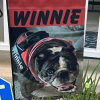 Winnie the bulldog (@wcrates) 's Twitter Profile