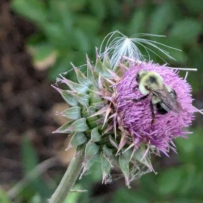 sonnenblumen47's profile picture. 💙💛💔💚🧡 🏳️‍🌈🏳️‍⚧️🤓