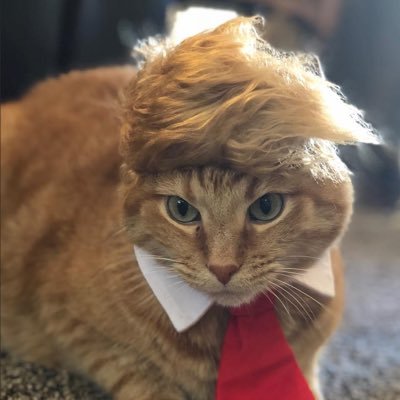 kristin1970's profile picture. #JDVANCE2028