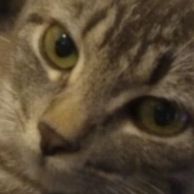 GBTGさんのプロフィール画像