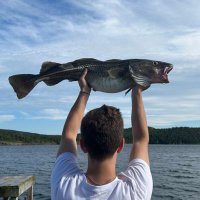 Sean Boyd (@sean_boyd13) 's Twitter Profile