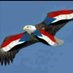 Fatima Mohamed (@fatimaamohamd) Twitter profile photo Fatima Mohamed (@fatimaamohamd) Twitter profile photo