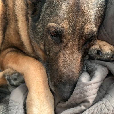 KurasPhilip's profile picture. 