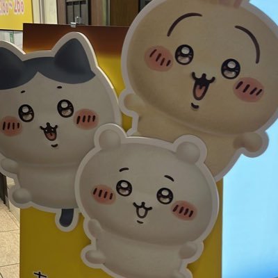 baoさんのプロフィール画像