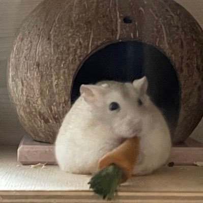 c1227h's profile picture. 3n 레즈커플, 언니랑 결혼하기로 했어요