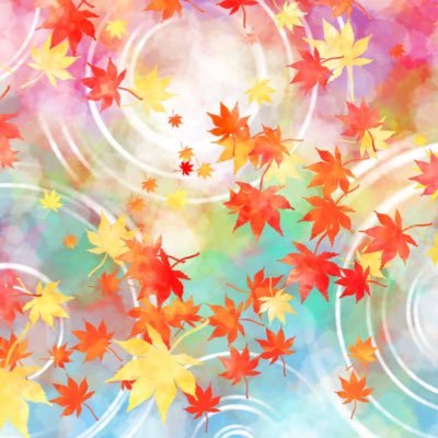 kaede51030's profile picture. 取引メインですが、たまに日常も呟きます。身内（未成年）の代理でのお取引もさせていただいております。新規垢、普段お使いではない垢とのお取引はお断りしております。プロカをご確認の上お声がけください。ご縁がございましたら宜しくお願い致します🍁