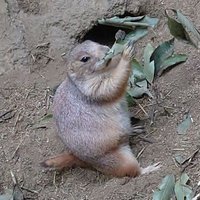 雨のち雨 (@dpginuo8krejsib) 's Twitter Profile