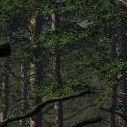 ` (@clapoyom) 's Twitter Profile