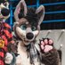 Kyan Puppy! ๐ FWA (@hemlockfoxy) Twitter profile photo Kyan Puppy! ๐ FWA (@hemlockfoxy) Twitter profile photo