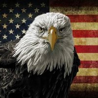 Freedom For All (@freedomforall45) 's Twitter Profile