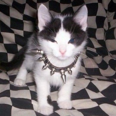 poisonedluck's profile picture. Sou de TI, gosto muito de música e tenho muitos problemas pessoais
ela/dela | 23y