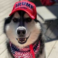 Debra Milam 🇺🇲 America First (@debramilam6) 's Twitter Profile Photo Debra Milam 🇺🇲 America First (@debramilam6) 's Twitter Profile Photo