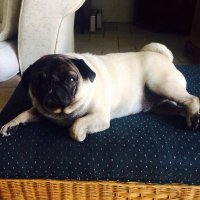 Heart (@darrowheart) 's Twitter Profile