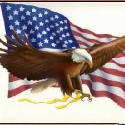Retired (Disabled) Combat Veteran USA. Bosnia/OIF. #1A#2A, Conservative. 🇺🇸🇵🇷Proudly Born in Puerto Rico from a Military Family