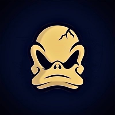 carolinaducks's profile picture. College Summer League Baseball