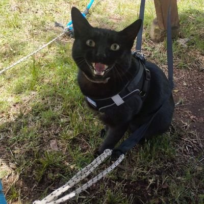 usuaria_000's profile picture. 