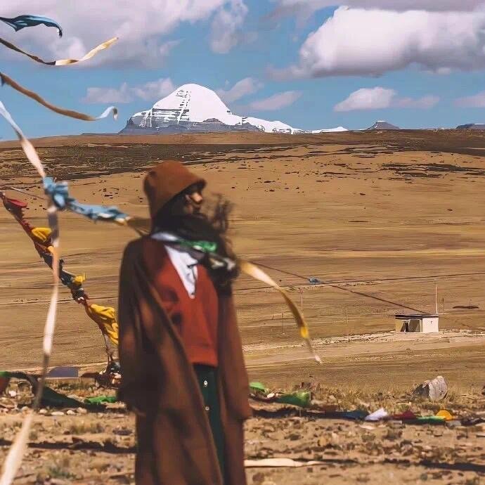 AmyChandle53584's profile picture. 