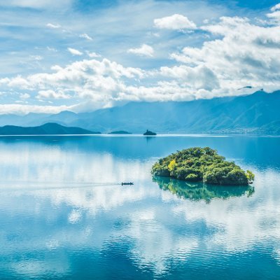 Aliceee815's profile picture. 菜鸟版