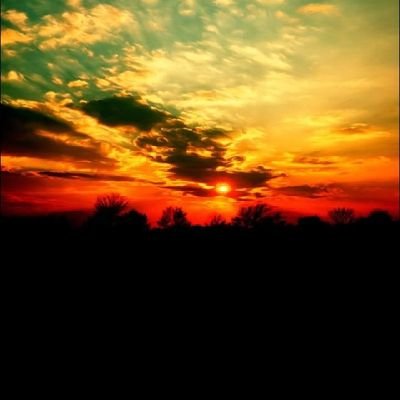 rh190366's profile picture. 