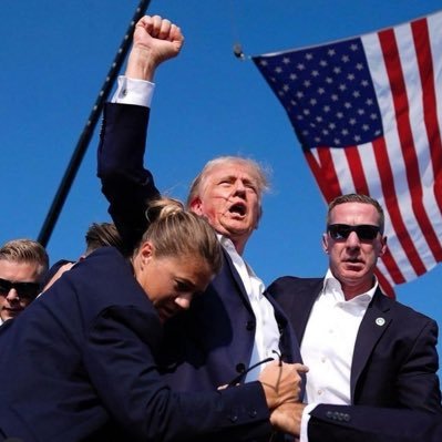 sevenfour08's profile picture. Traveler