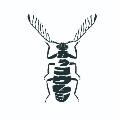 allochotes's profile picture. Enjoy your beetles!

カッコウムシcheckered beetleを調べて記載論文を書く人

ホームページhttps://t.co/8k7kwj58nU

ResearchGateは↓からアクセス（出版論文DL可能。一部リクエスト必要。）