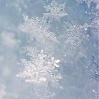 Snow🤍 (@snowsngel7) 's Twitter Profile
